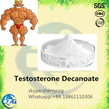 Muskel-Gebäude-roher Steroid-Pulver-Testosteron Decanoate